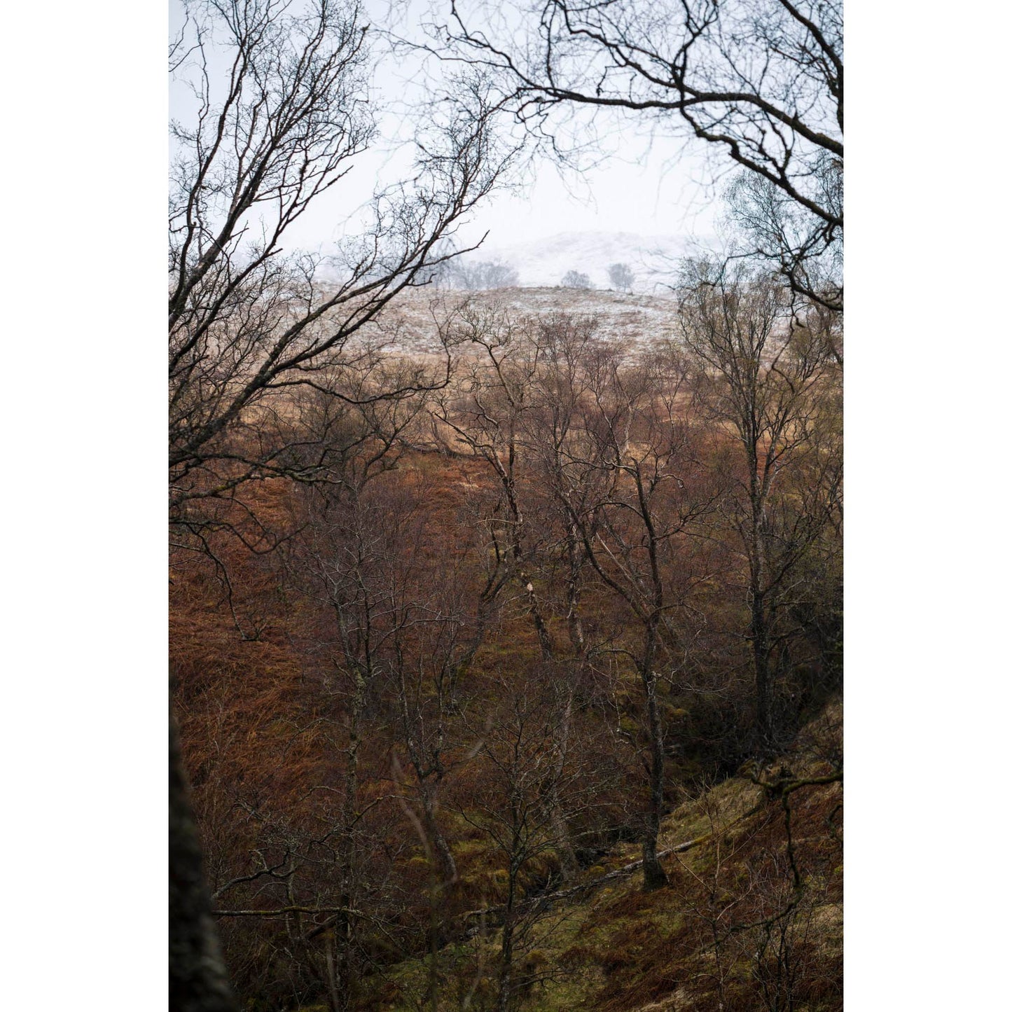April 28, 2016 - Sterling, Scotland