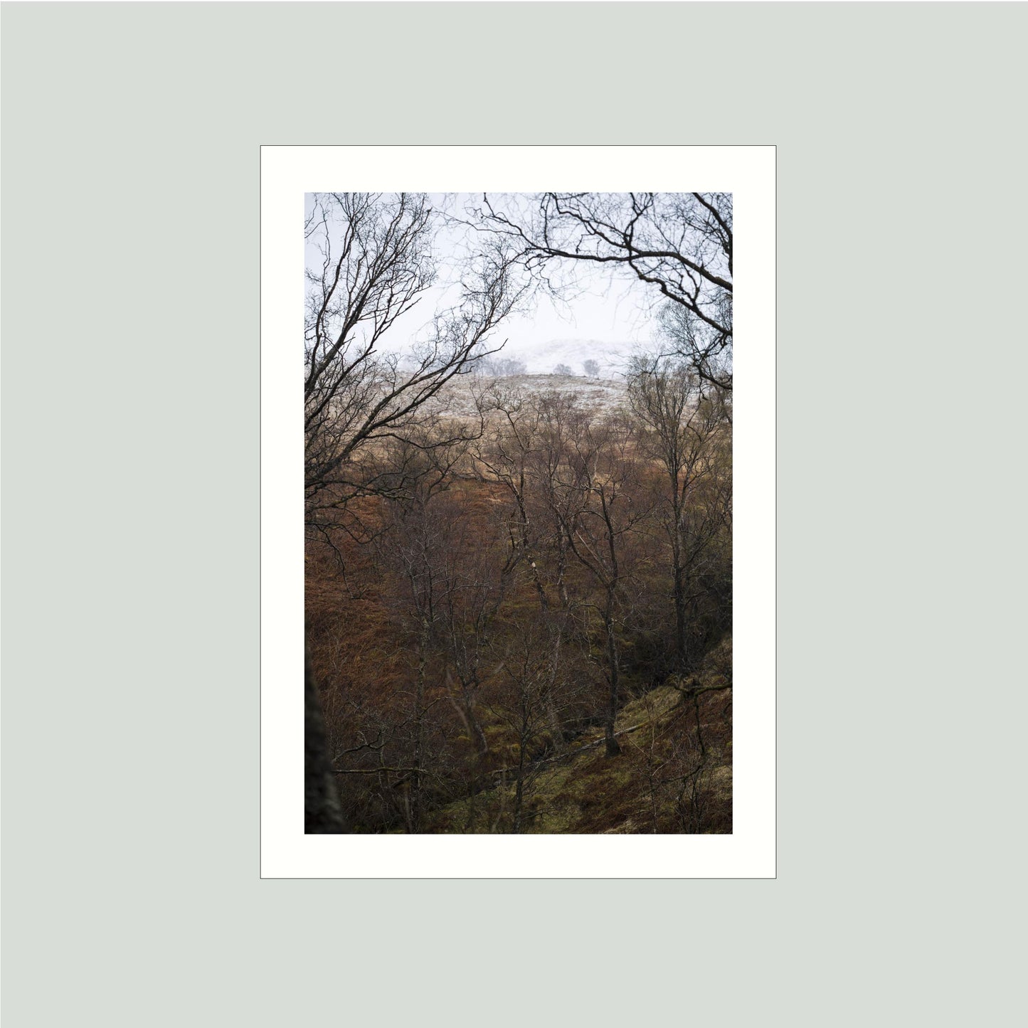 April 28, 2016 - Sterling, Scotland