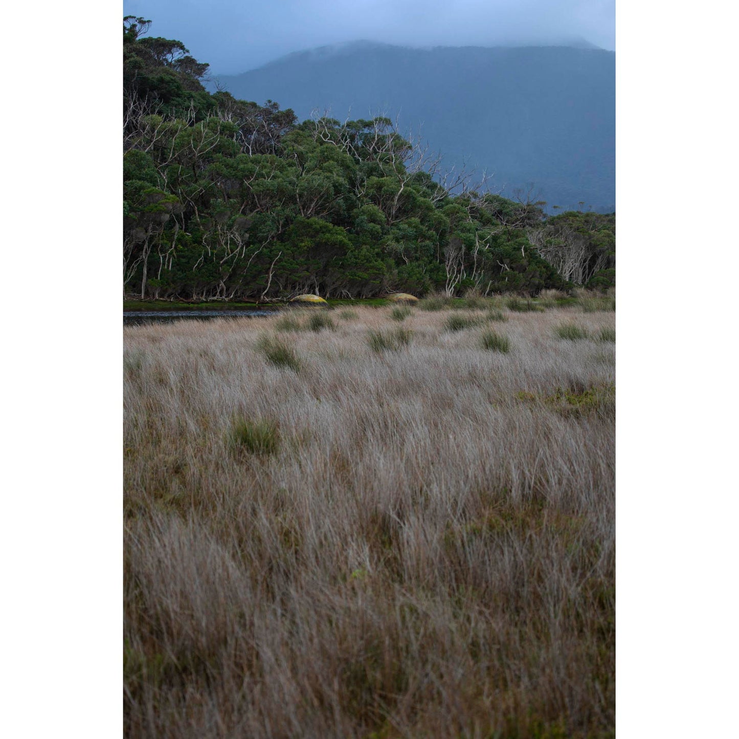 August 25, 2013 - Wilsons Promontory, Australia