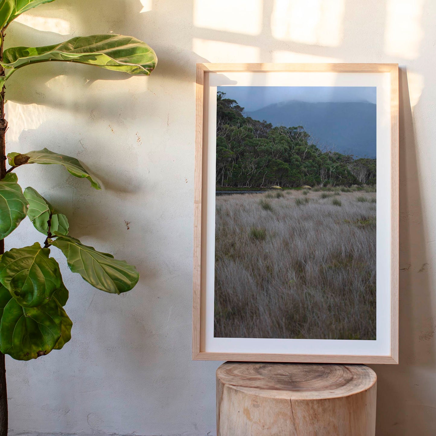 August 25, 2013 - Wilsons Promontory, Australia