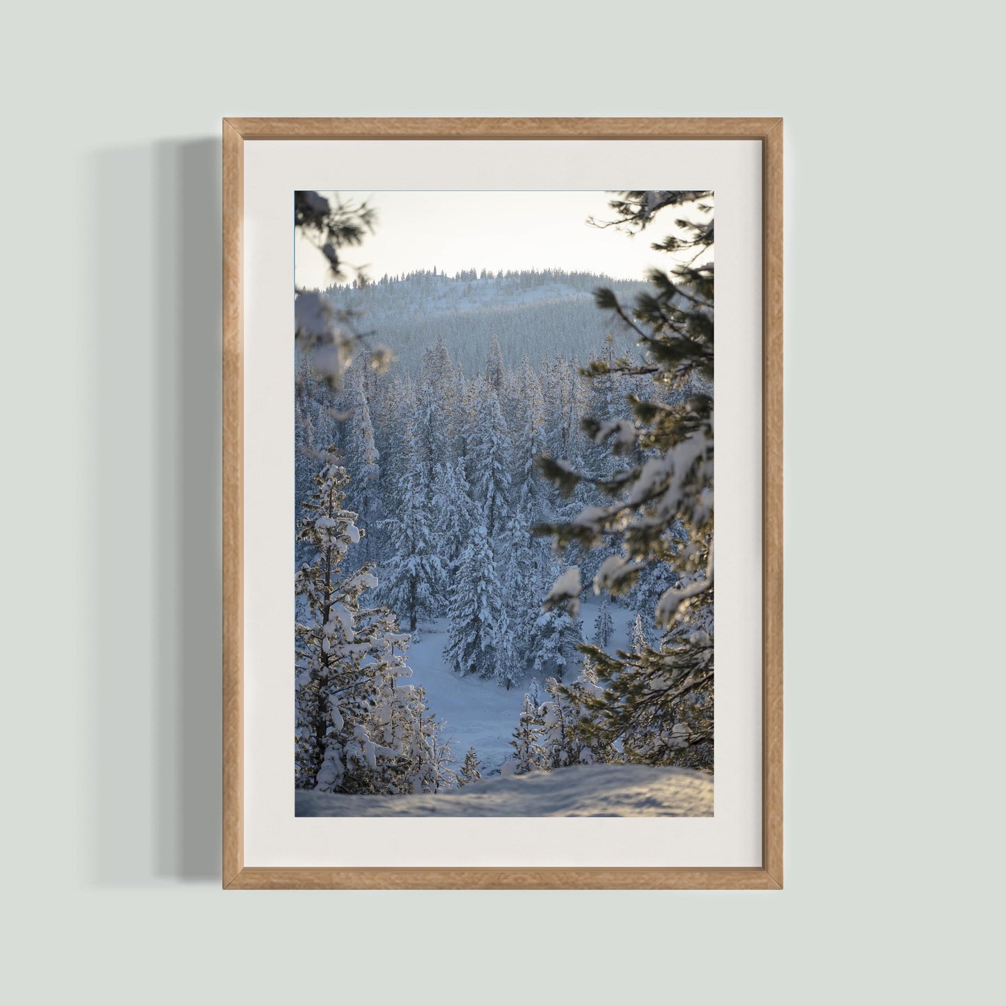 December 14, 2022 - Truckee, California