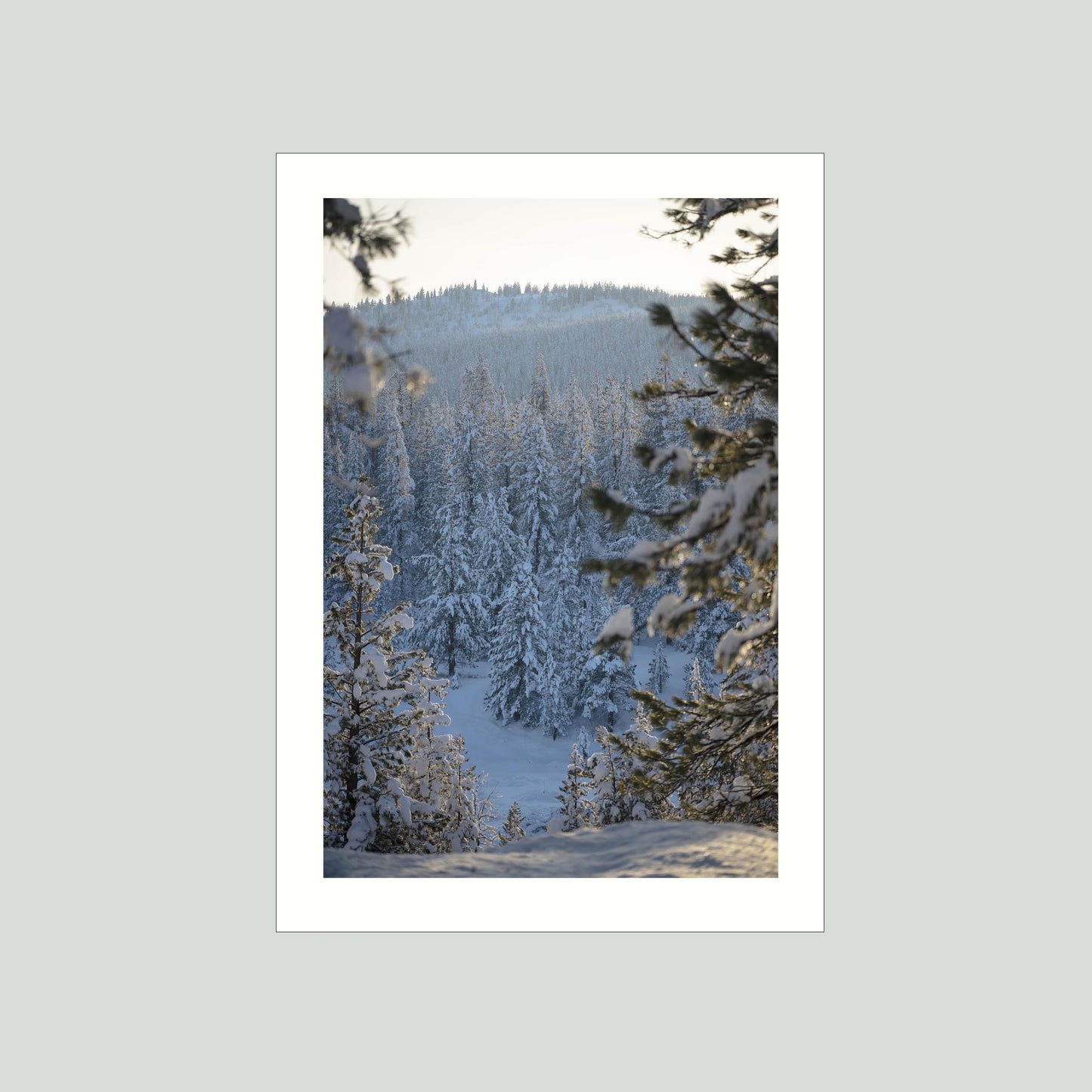 December 14, 2022 - Truckee, California