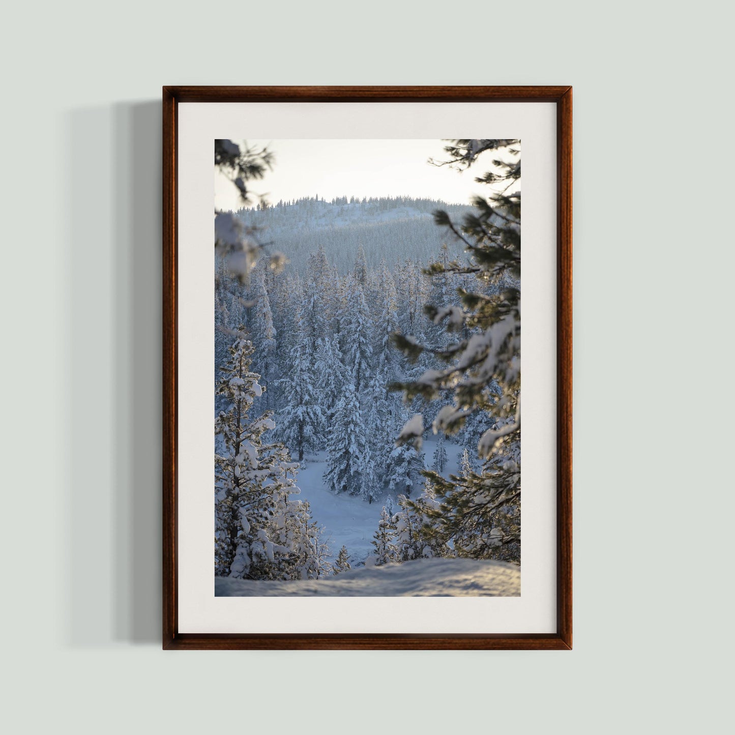 December 14, 2022 - Truckee, California
