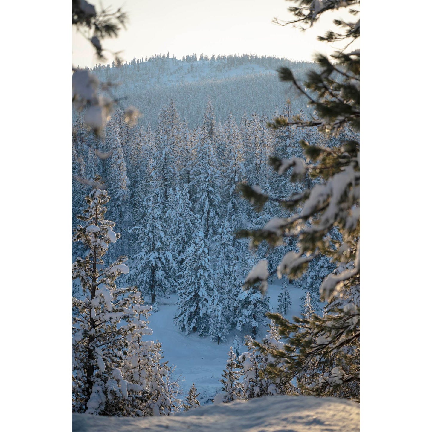 December 14, 2022 - Truckee, California