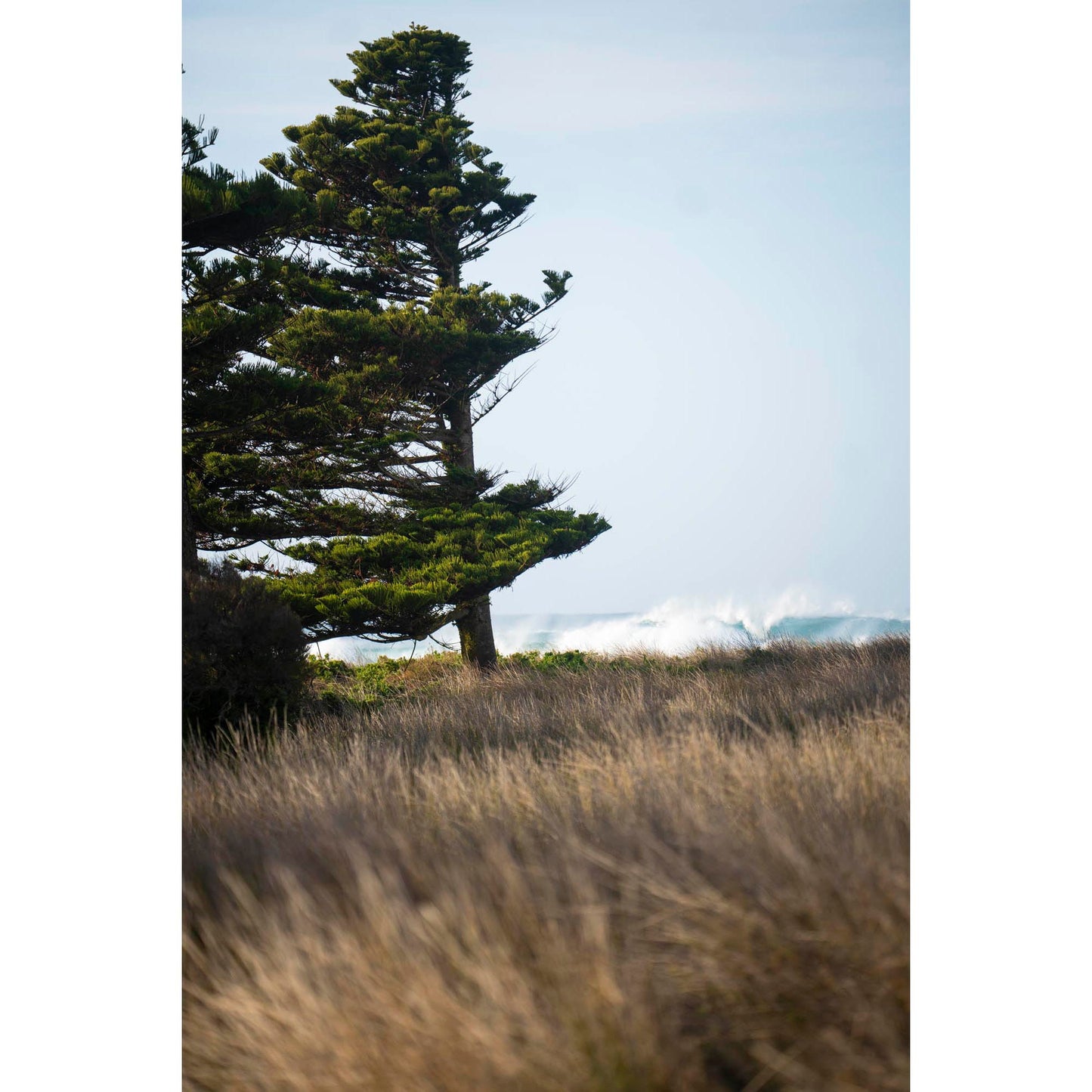 July 20 2024 - Port Fairy, Australia