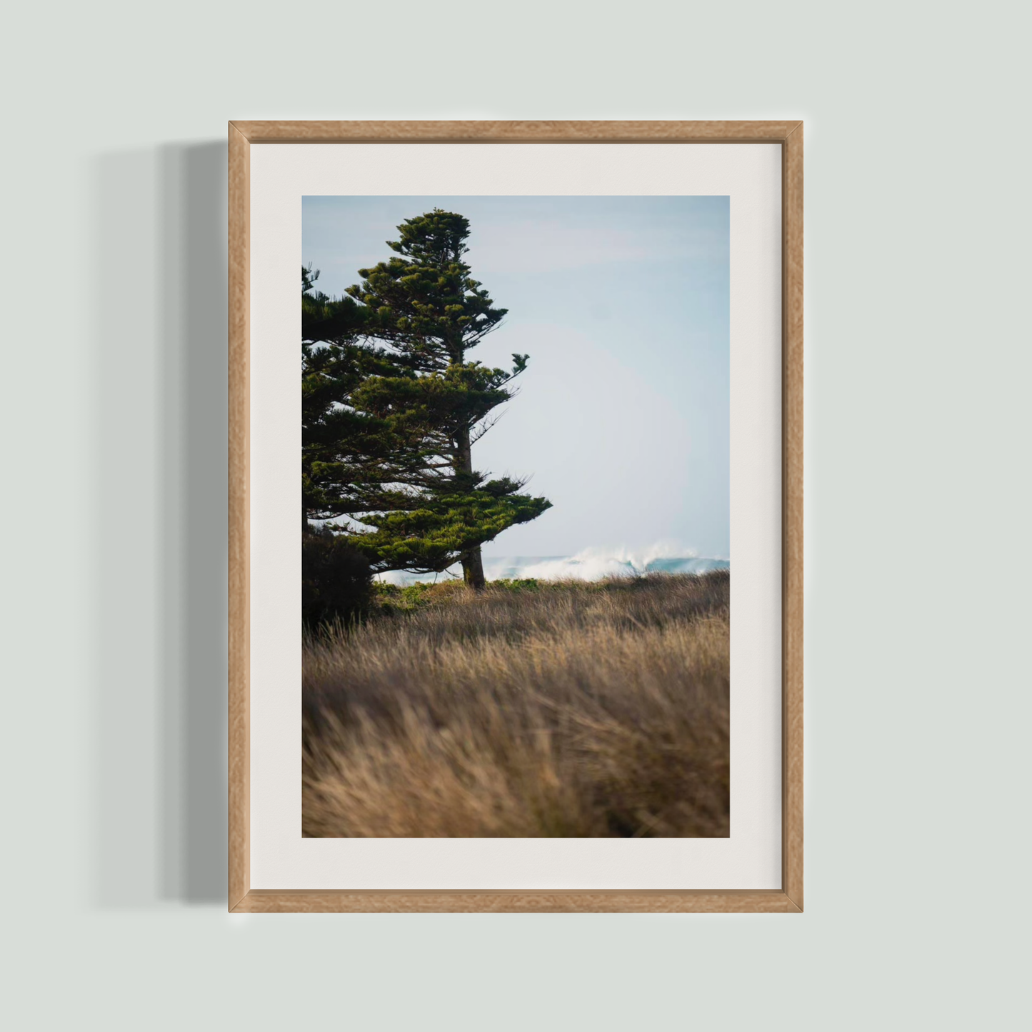 July 20 2024 - Port Fairy, Australia