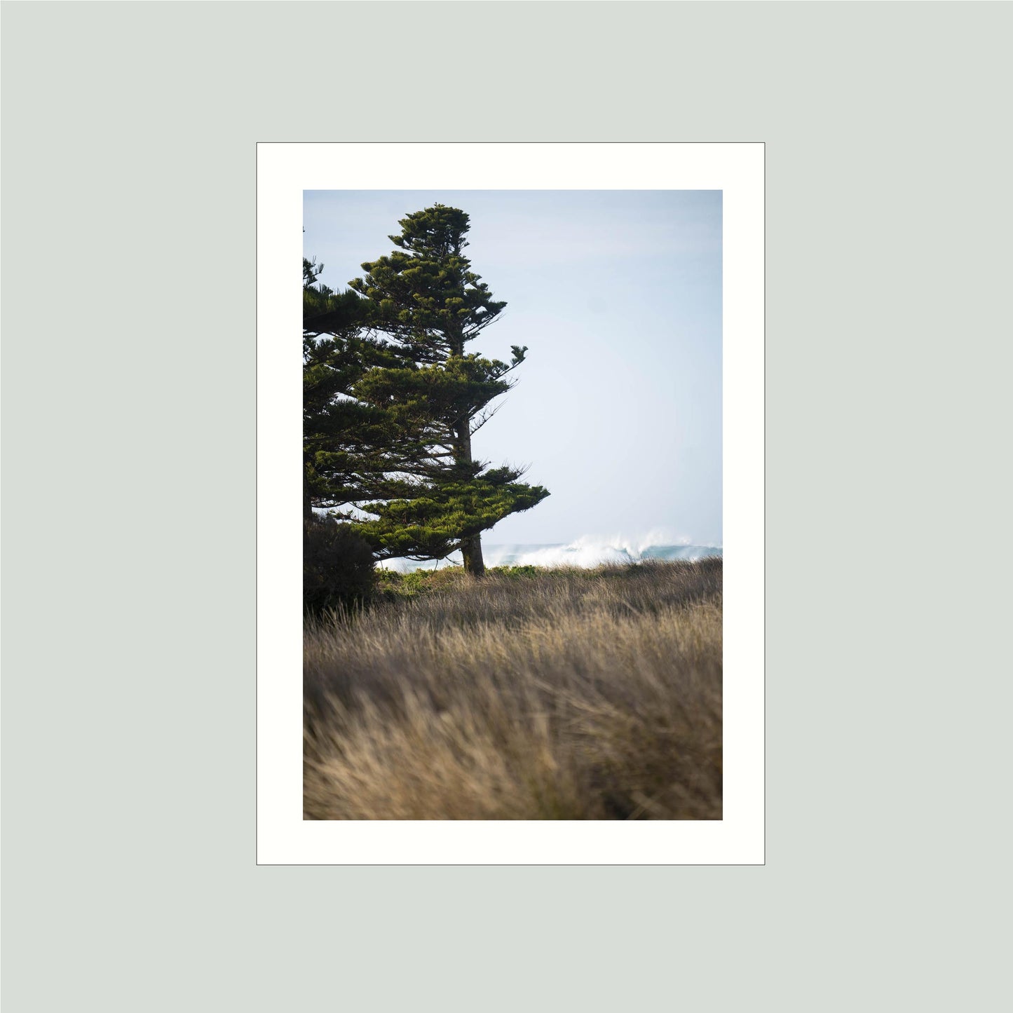July 20 2024 - Port Fairy, Australia