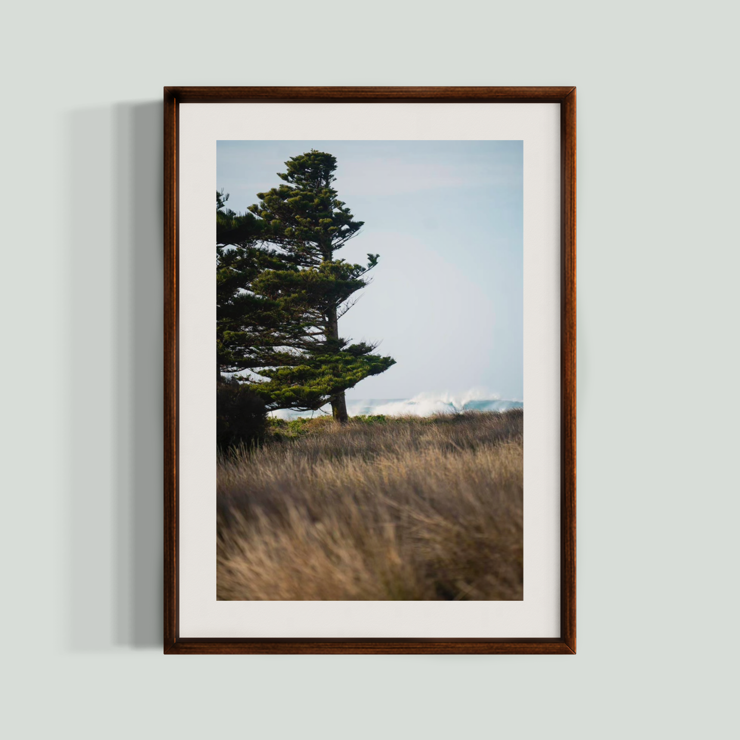 July 20 2024 - Port Fairy, Australia