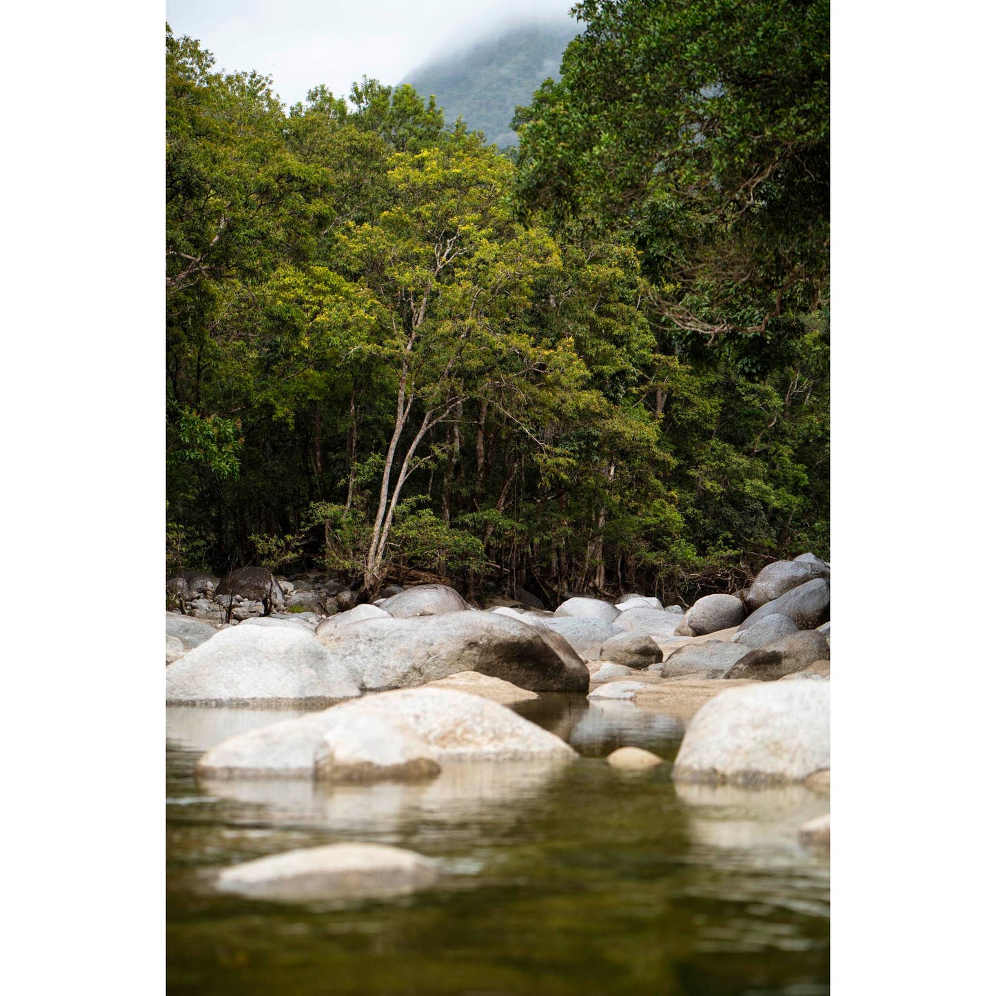 July 24 2024 - Mossman River, Australia