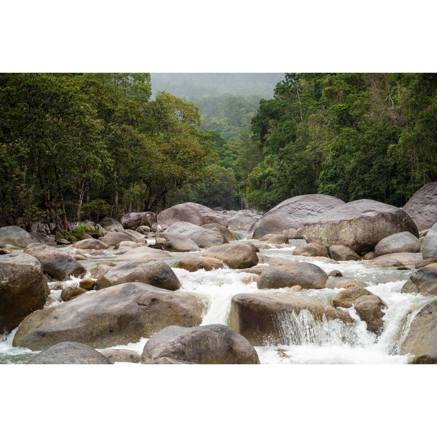 July 24 2024 - Mossman River, Australia