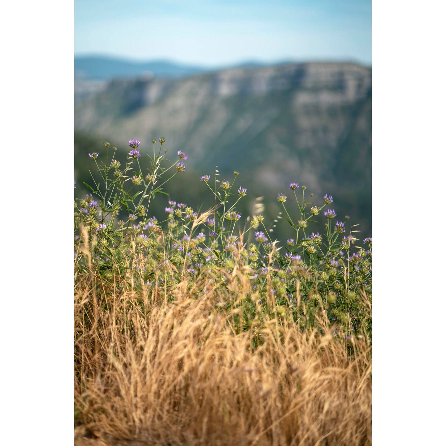 June 23 2019 - Cirque de Navacelles, France
