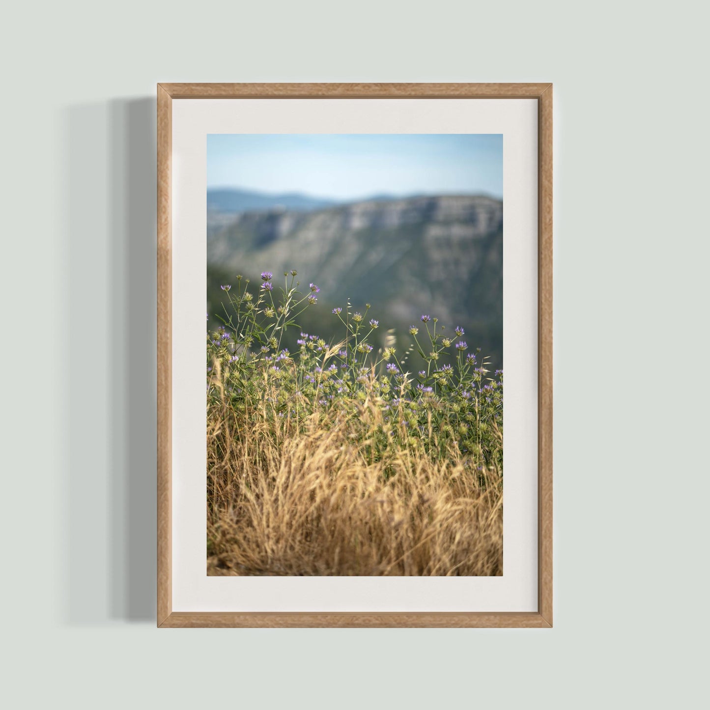 June 23 2019 - Cirque de Navacelles, France