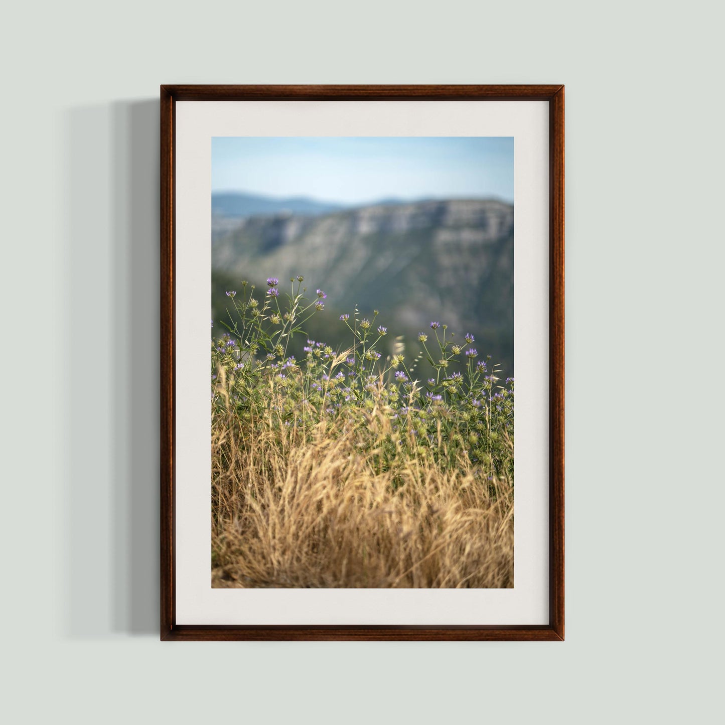 June 23 2019 - Cirque de Navacelles, France