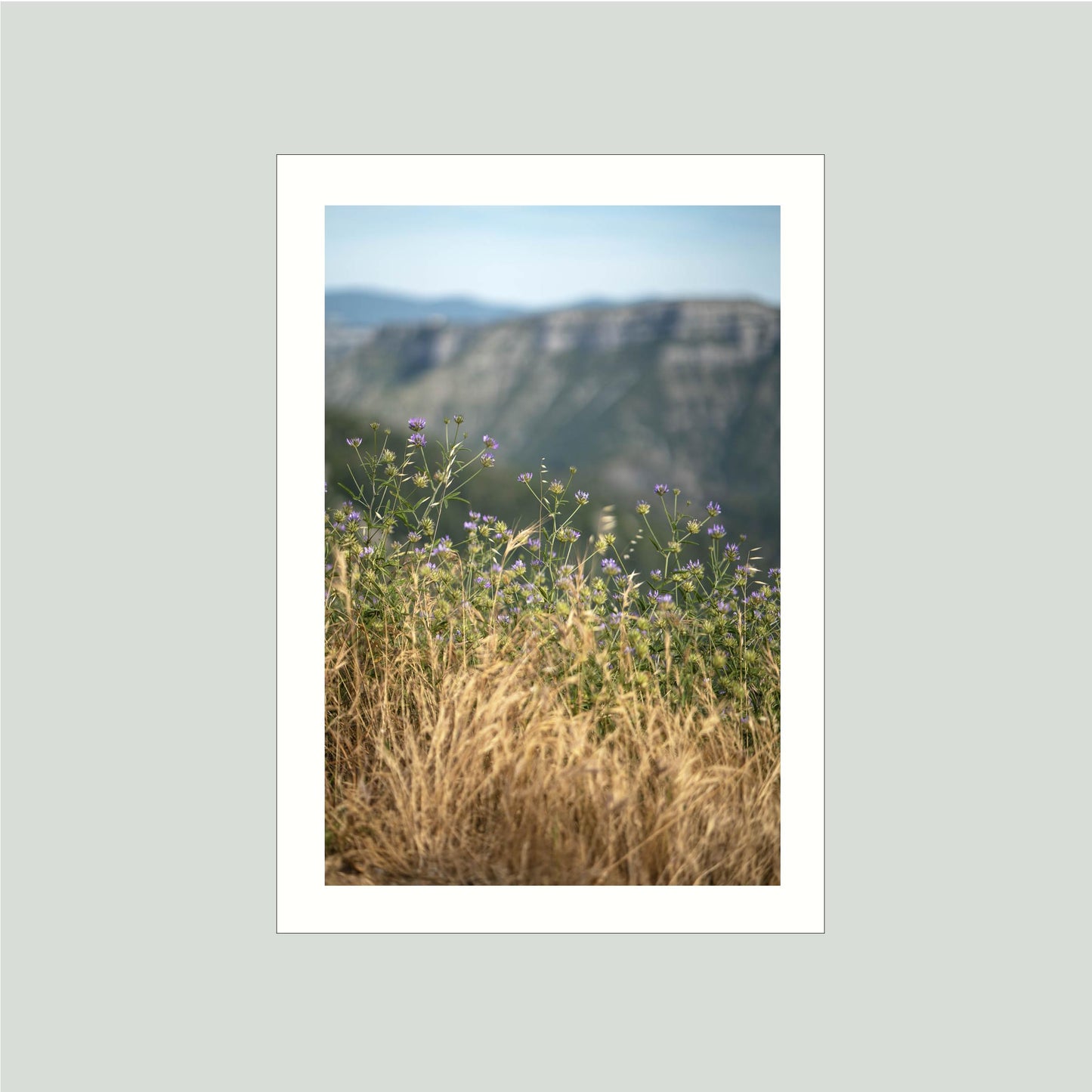 June 23 2019 - Cirque de Navacelles, France