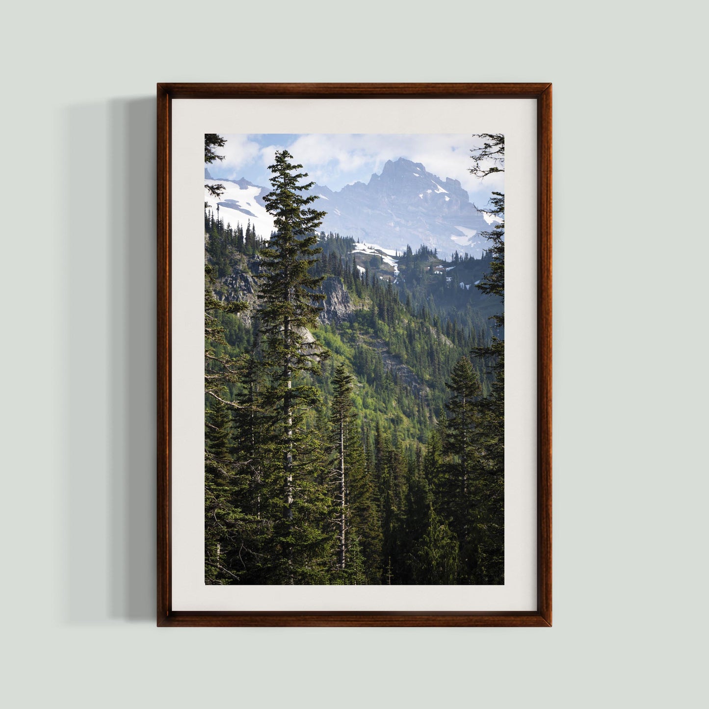 June 24 2025 - Mt Rainier National Park, Washington