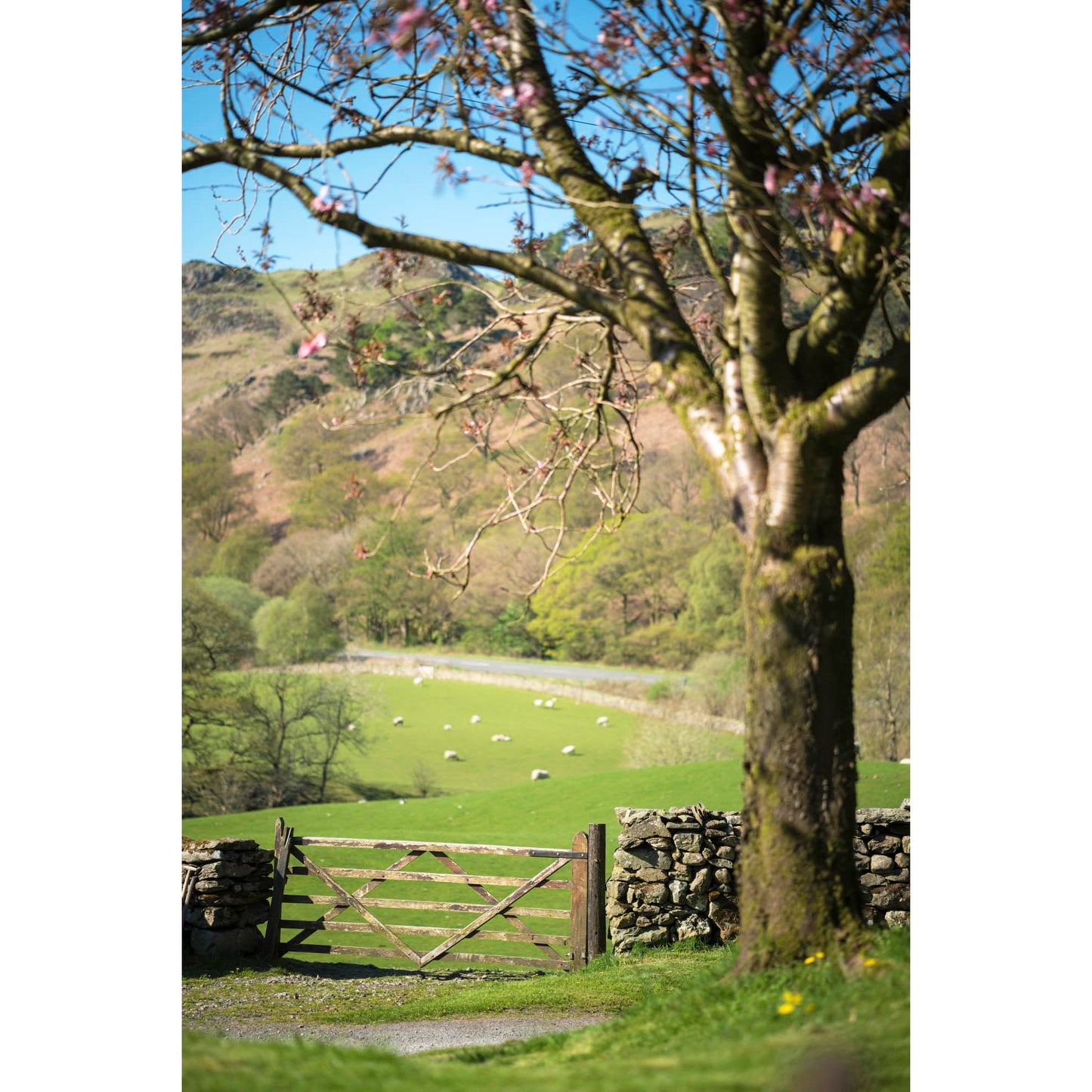 May 9, 2016 - Lakes District, England