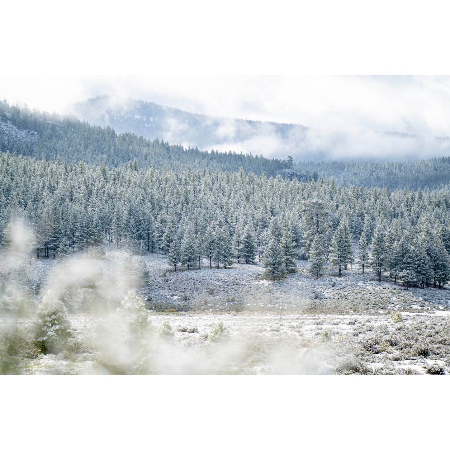 May 19, 2019 - Truckee, California