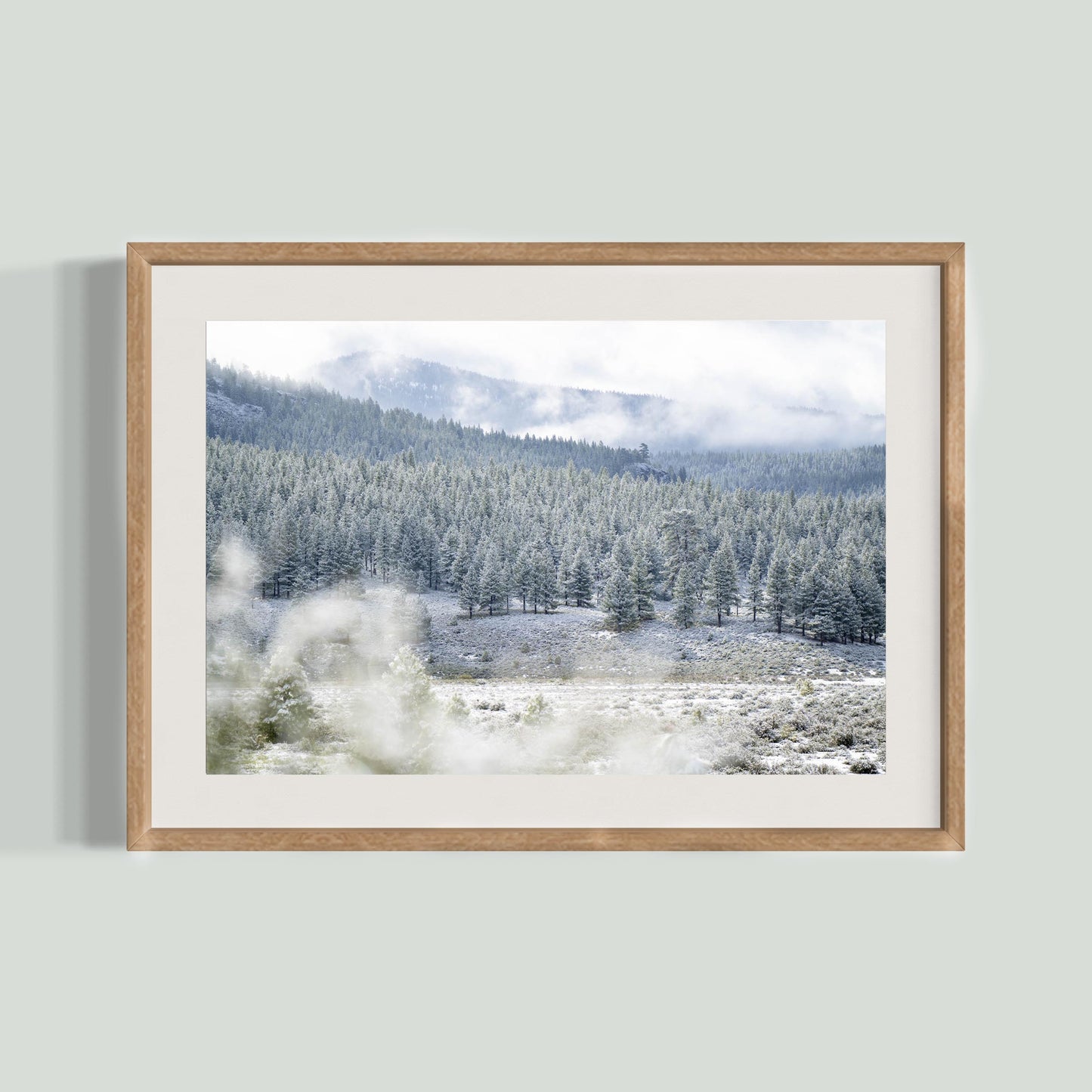 May 19, 2019 - Truckee, California