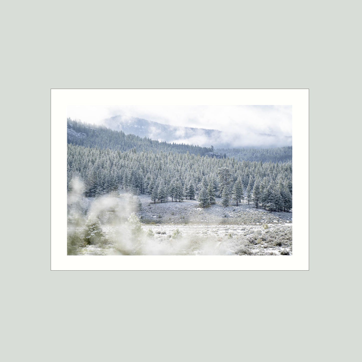 May 19, 2019 - Truckee, California