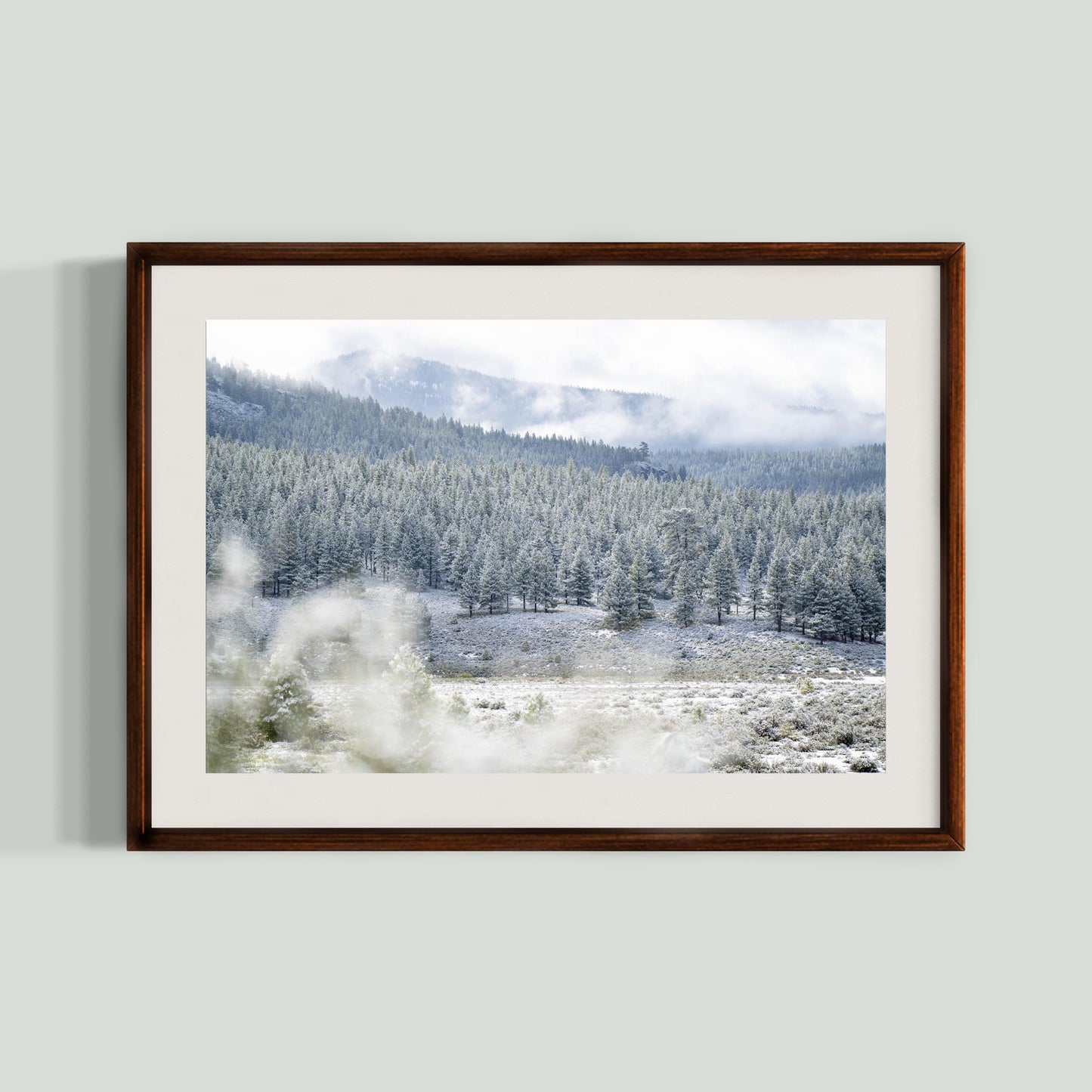 May 19, 2019 - Truckee, California