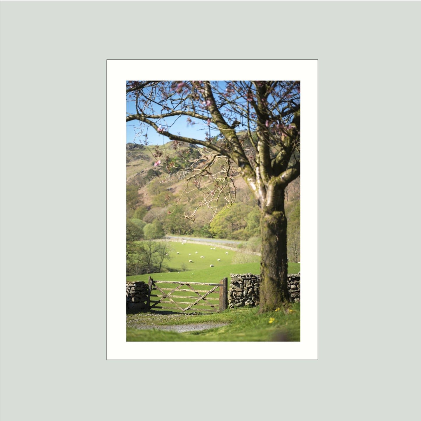 May 9, 2016 - Lakes District, England
