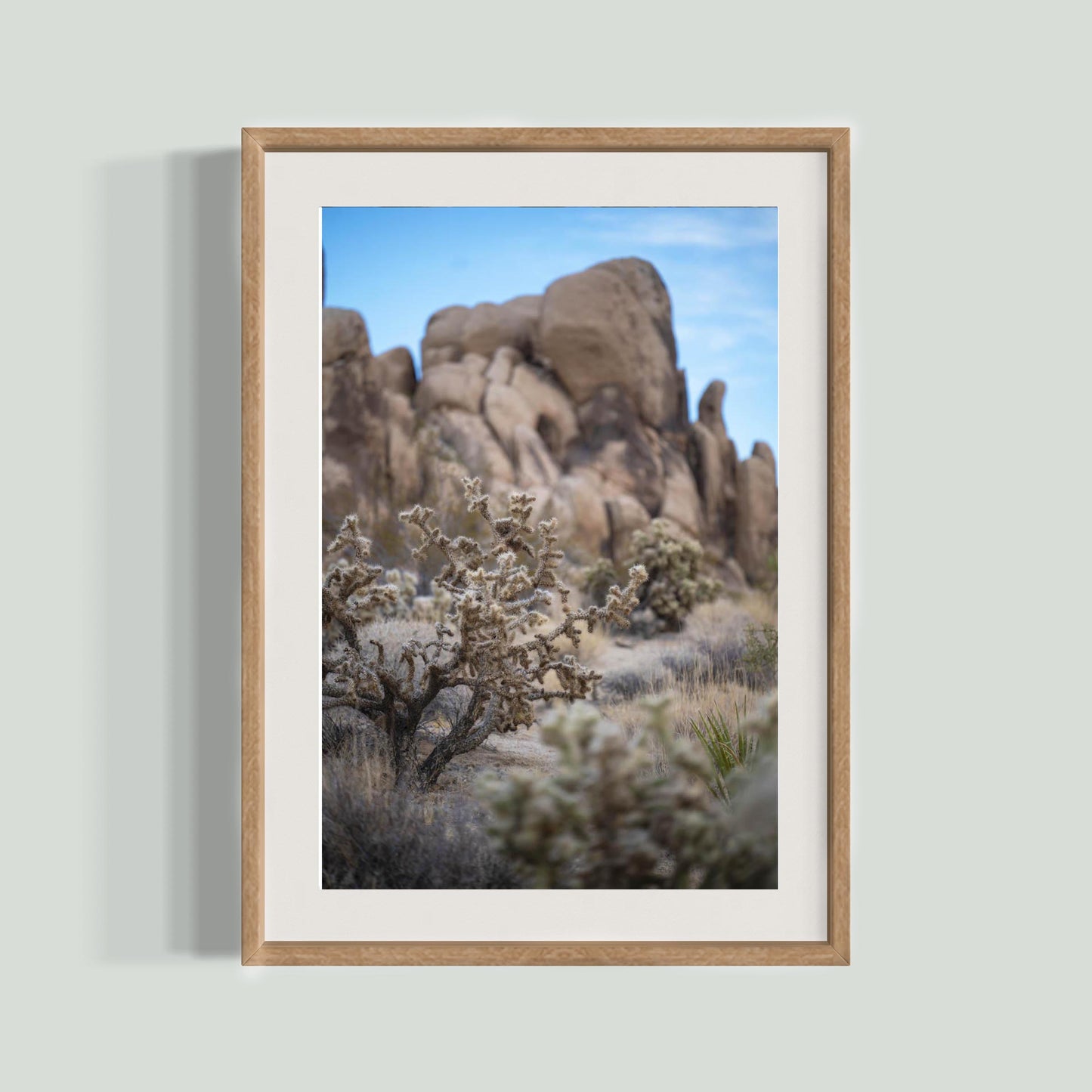 November 11, 2024 - Joshua Tree National Park, California