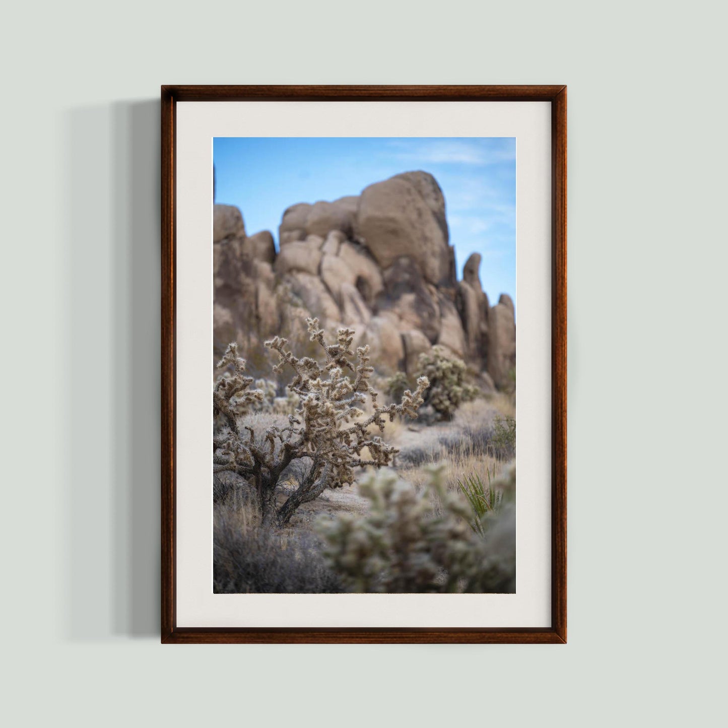 November 11, 2024 - Joshua Tree National Park, California