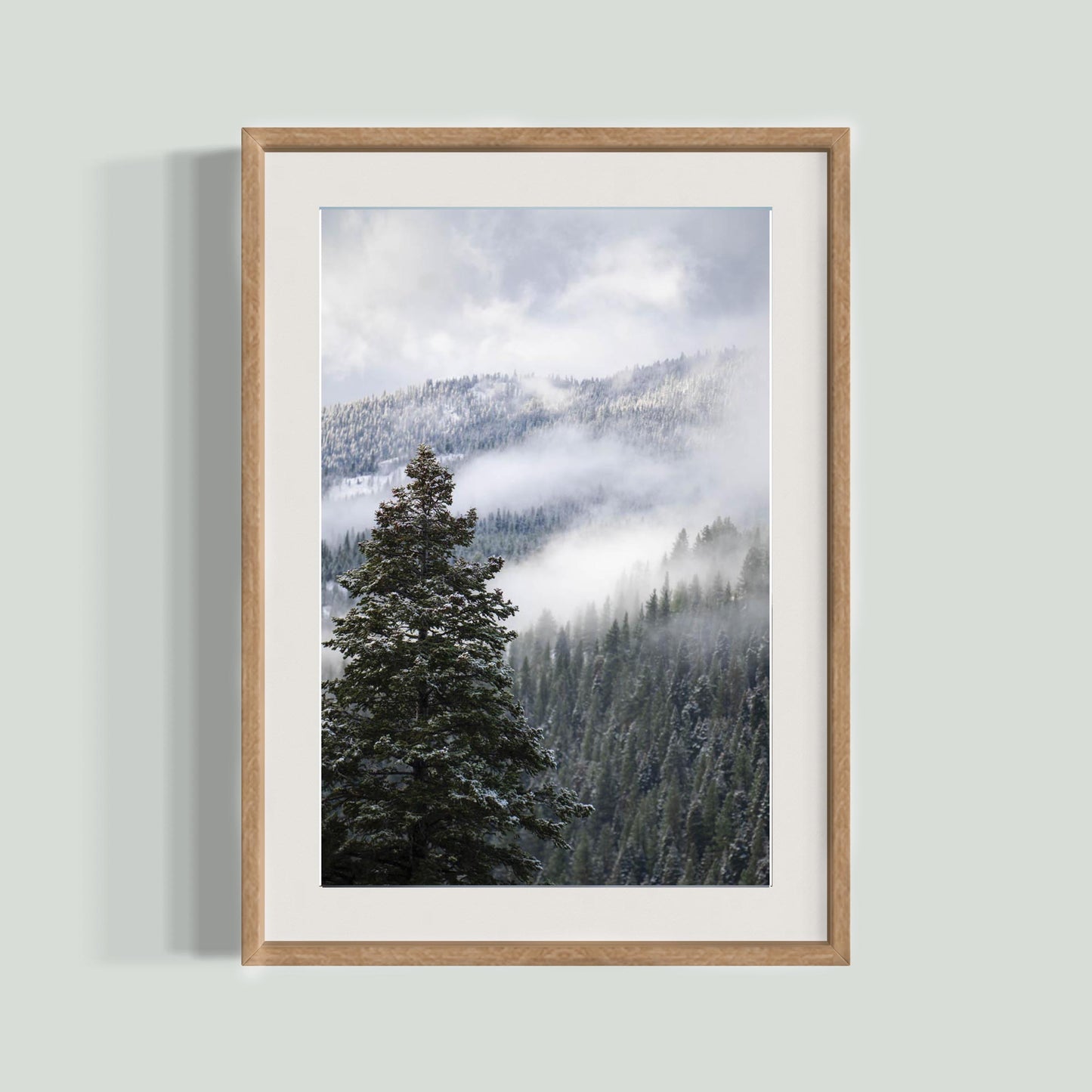 November 2, 2024 - Tahoe National Forest, California