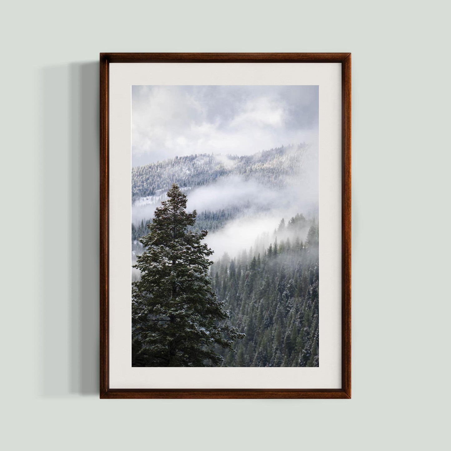 November 2, 2024 - Tahoe National Forest, California