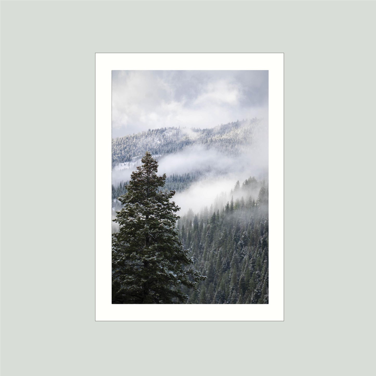 November 2, 2024 - Tahoe National Forest, California