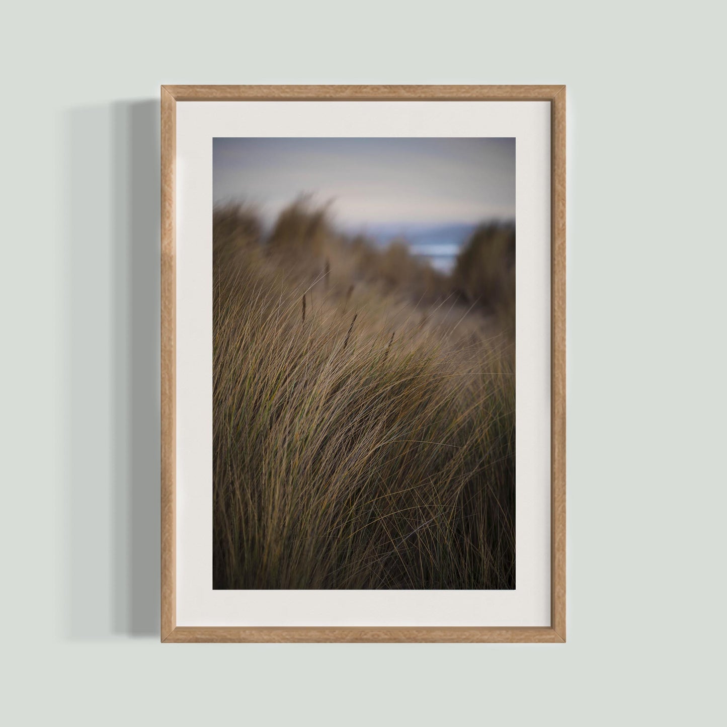 November 7, 2020 - Dillon Beach, California
