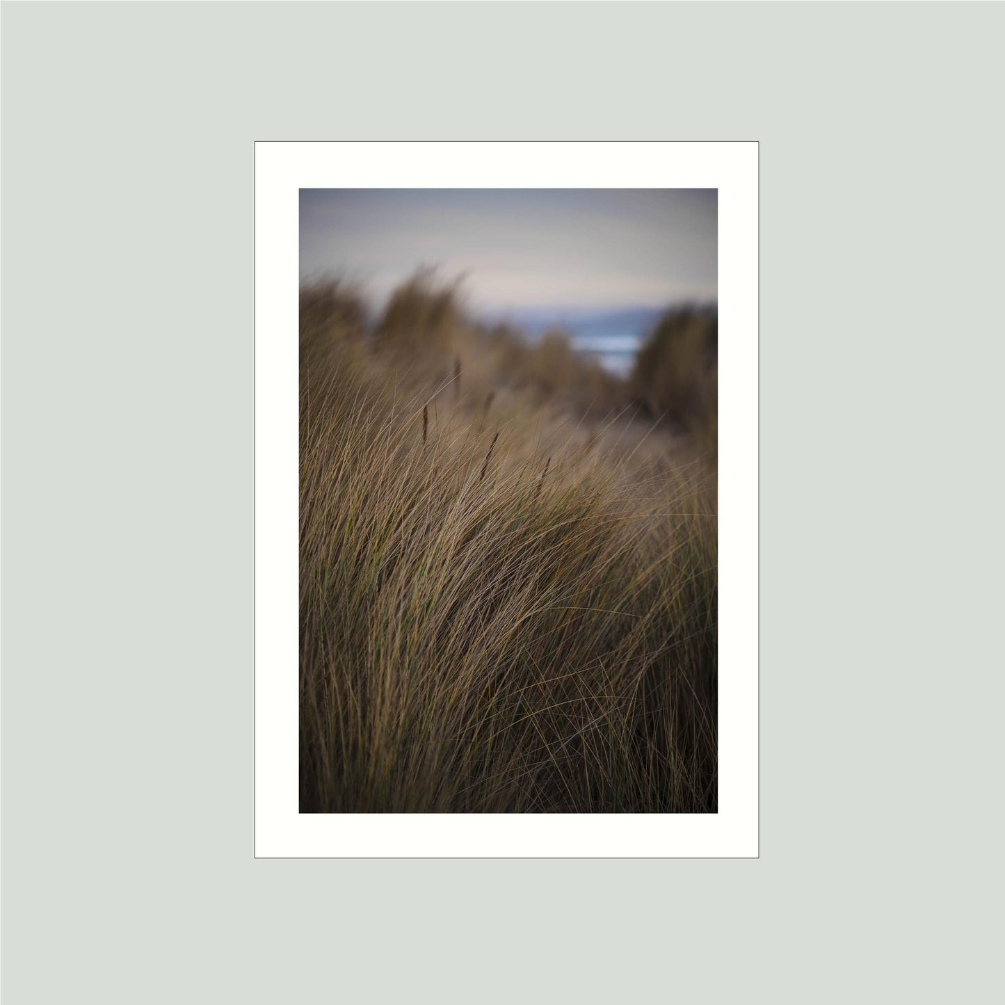 November 7, 2020 - Dillon Beach, California