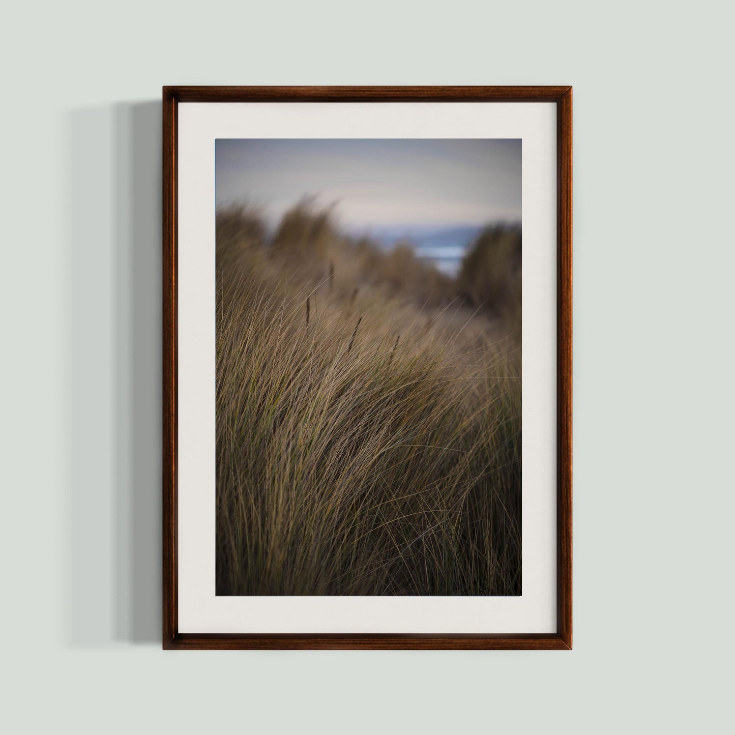 November 7, 2020 - Dillon Beach, California