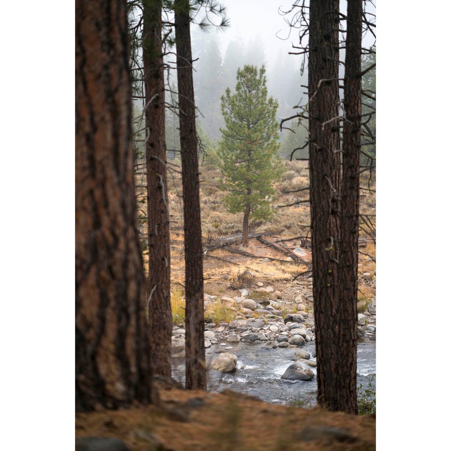 October 11, 2021 - Truckee, California
