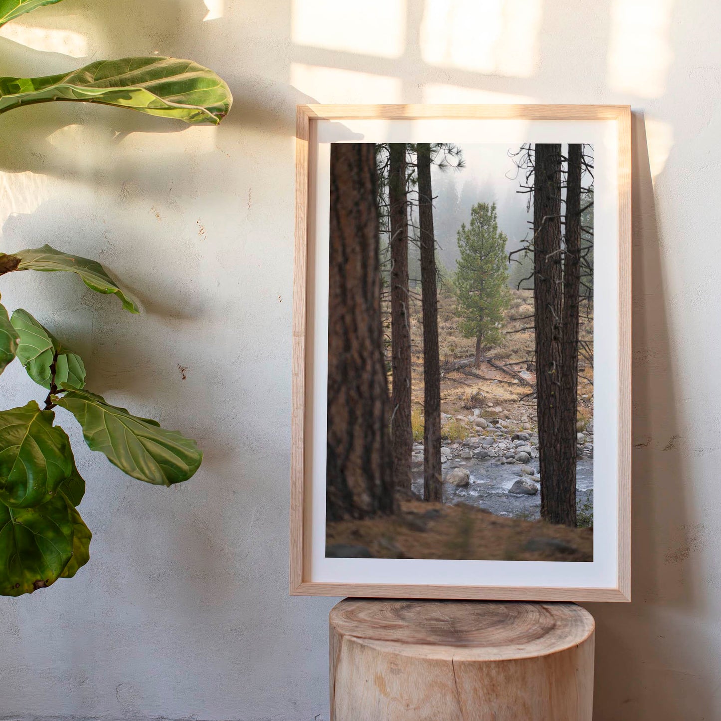 October 11, 2021 - Truckee, California