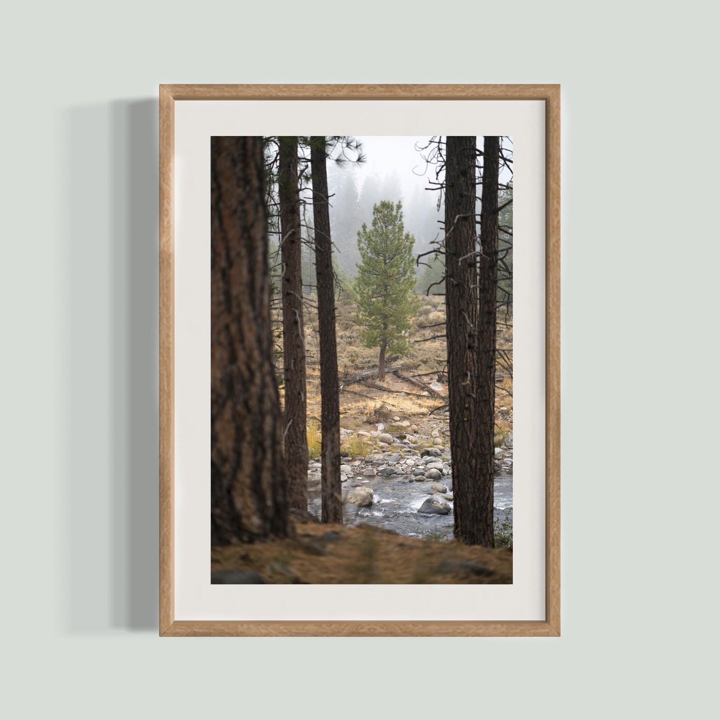 October 11, 2021 - Truckee, California