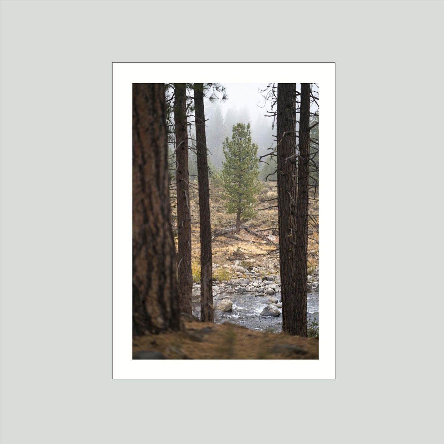 October 11, 2021 - Truckee, California