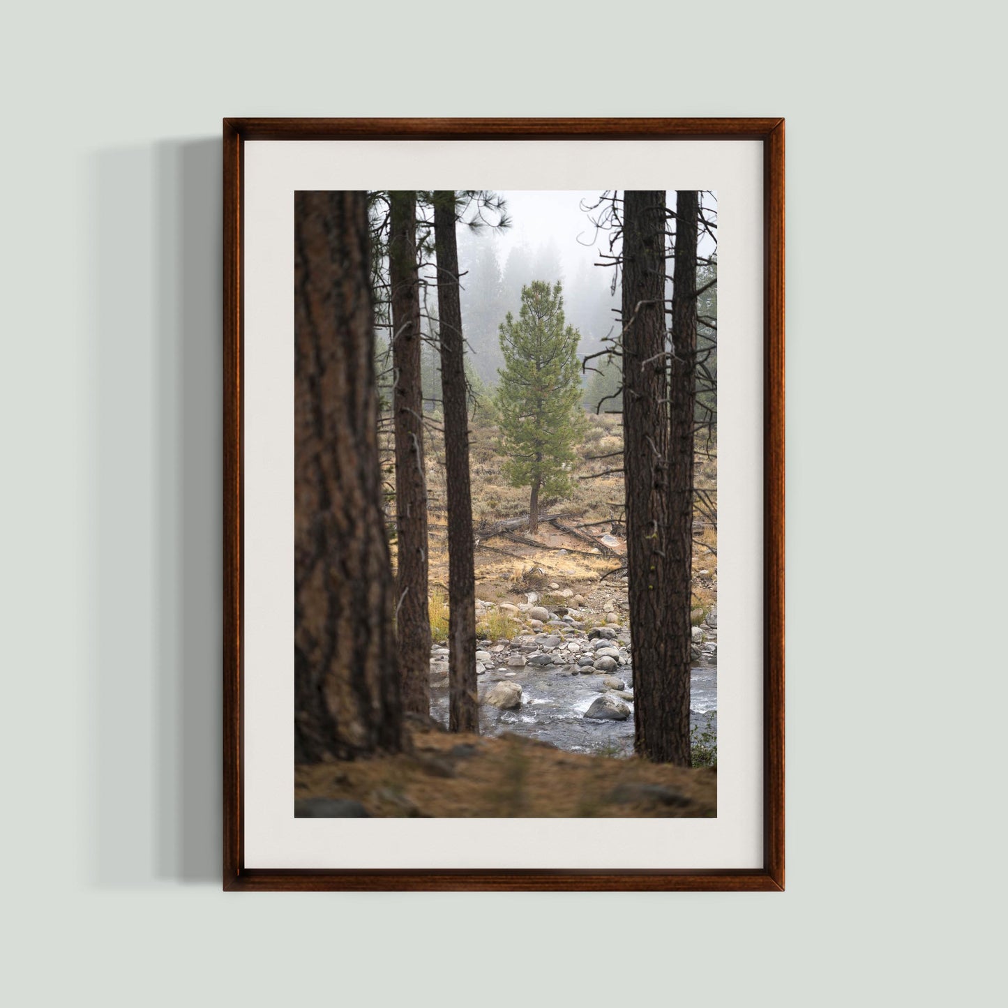 October 11, 2021 - Truckee, California