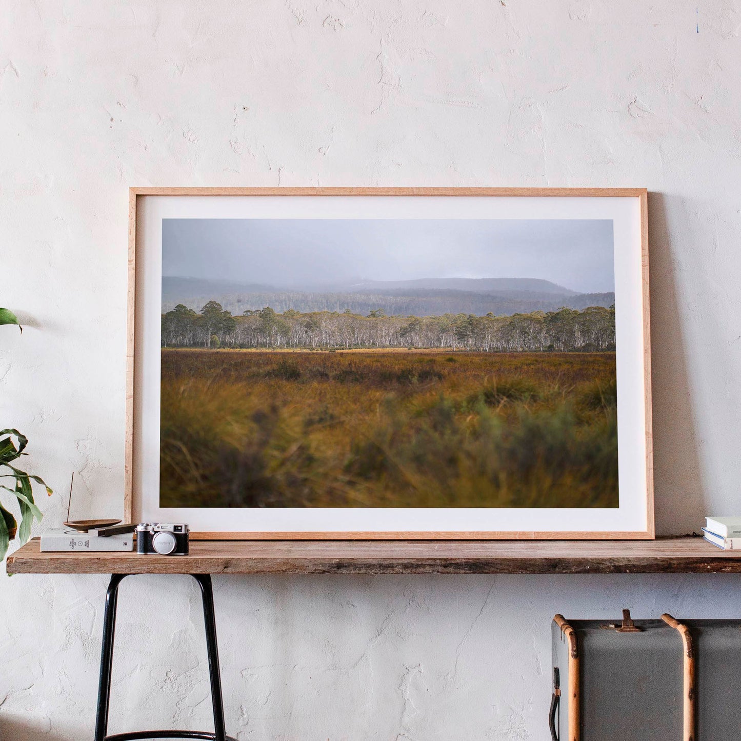 October 17, 2019 - Lake St Clair National Park, Australia