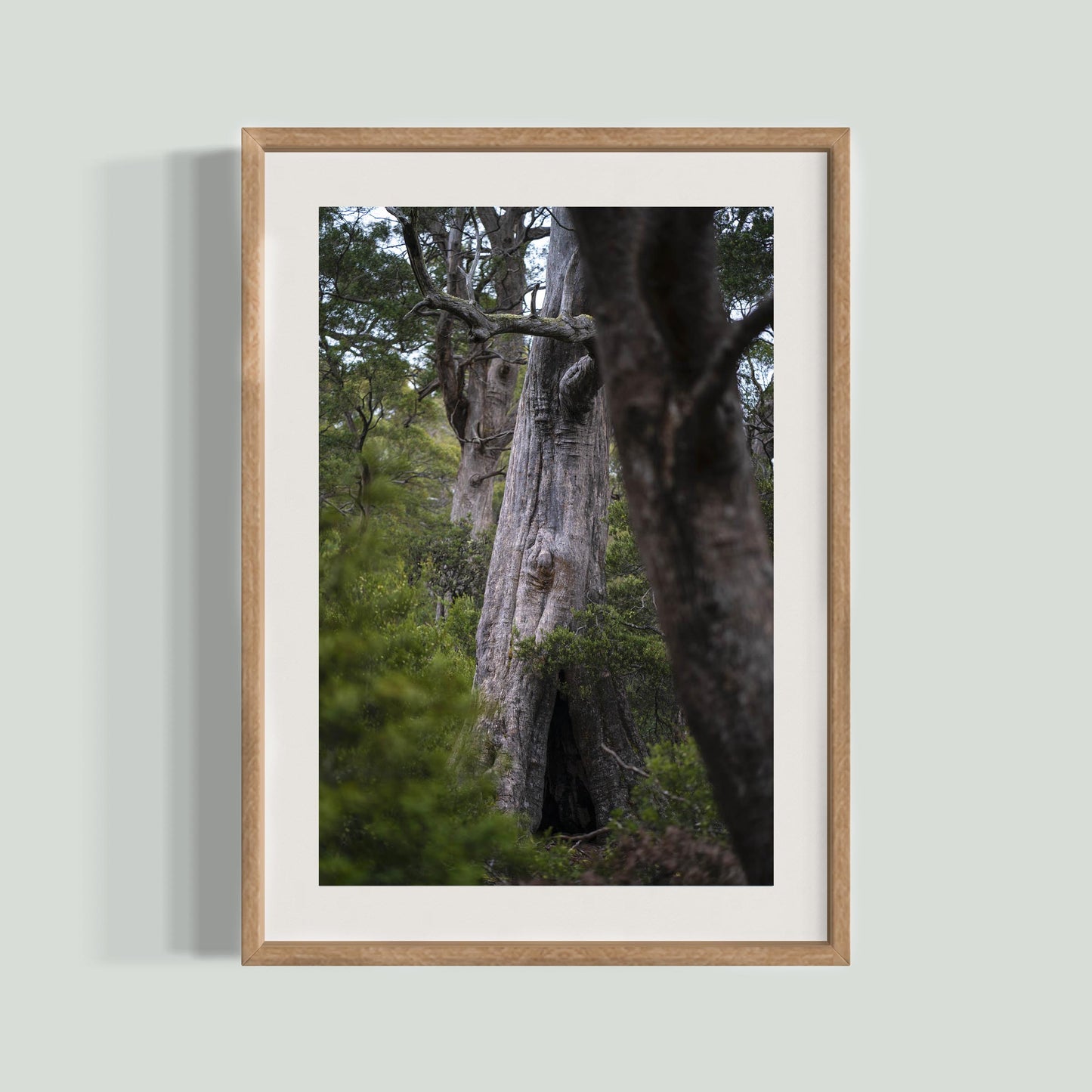 October 17, 2019 - Lake St Clair National Park, Australia