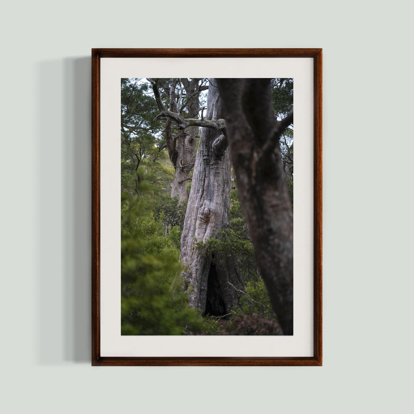 October 17, 2019 - Lake St Clair National Park, Australia