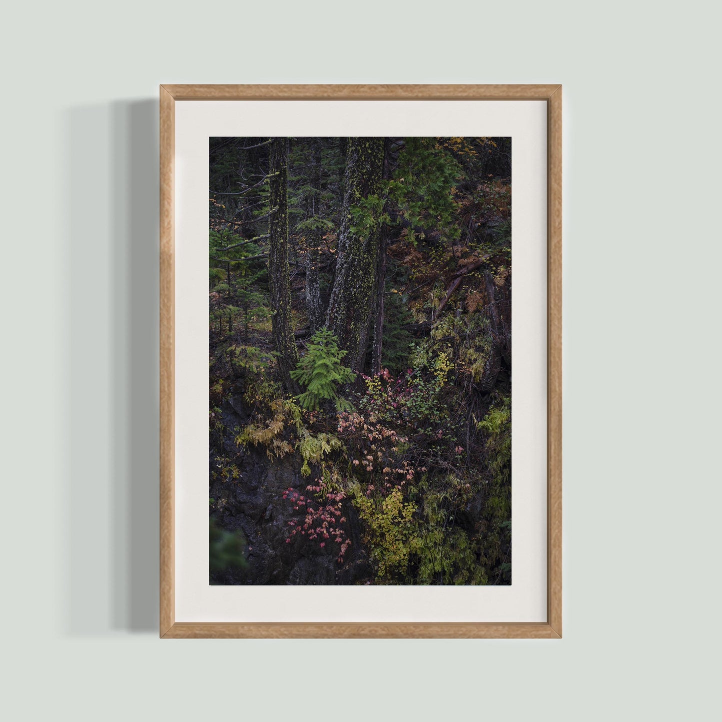 October 23, 2023 - Plumas-Eureka State Park, California