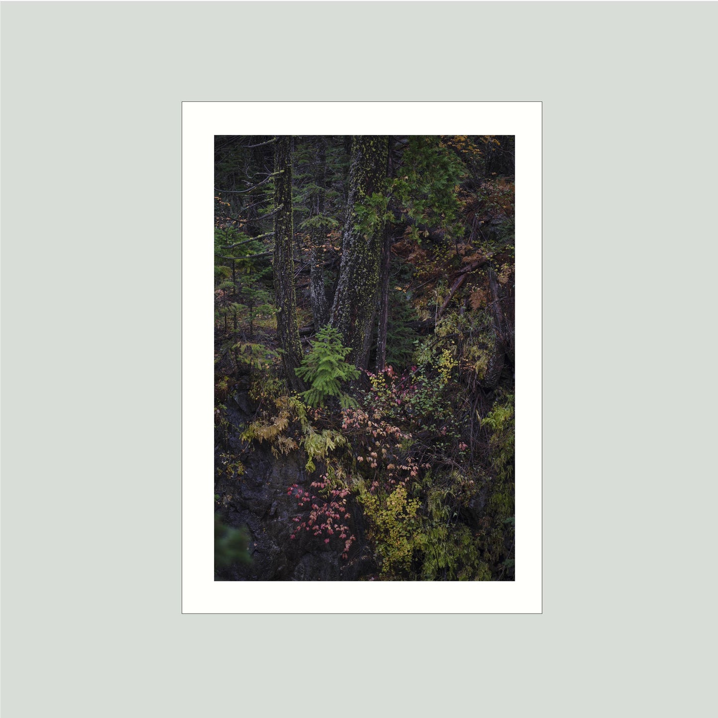 October 23, 2023 - Plumas-Eureka State Park, California