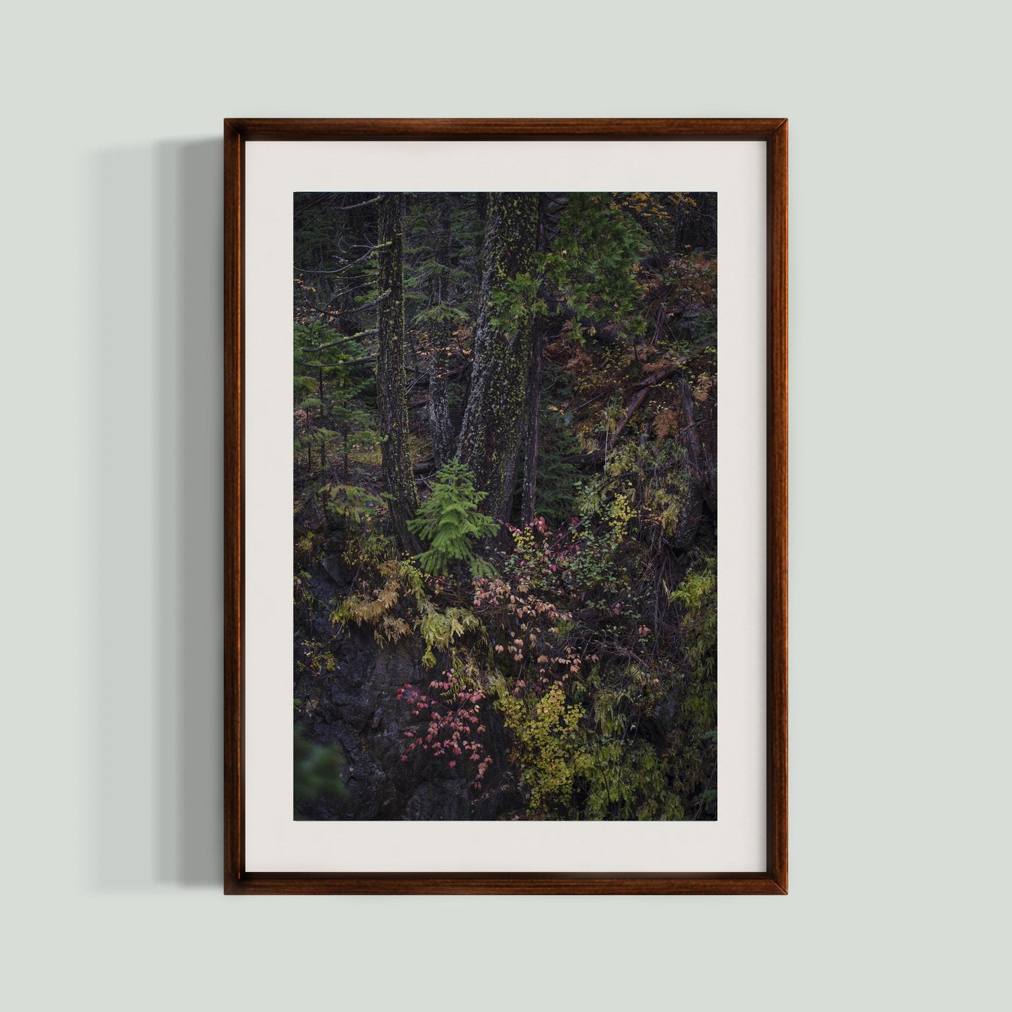 October 23, 2023 - Plumas-Eureka State Park, California