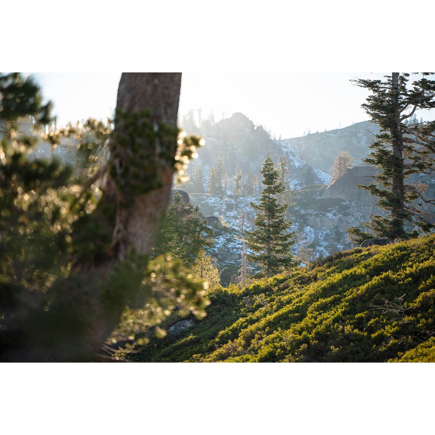 October 31, 2023 - Plumas National Forest, California