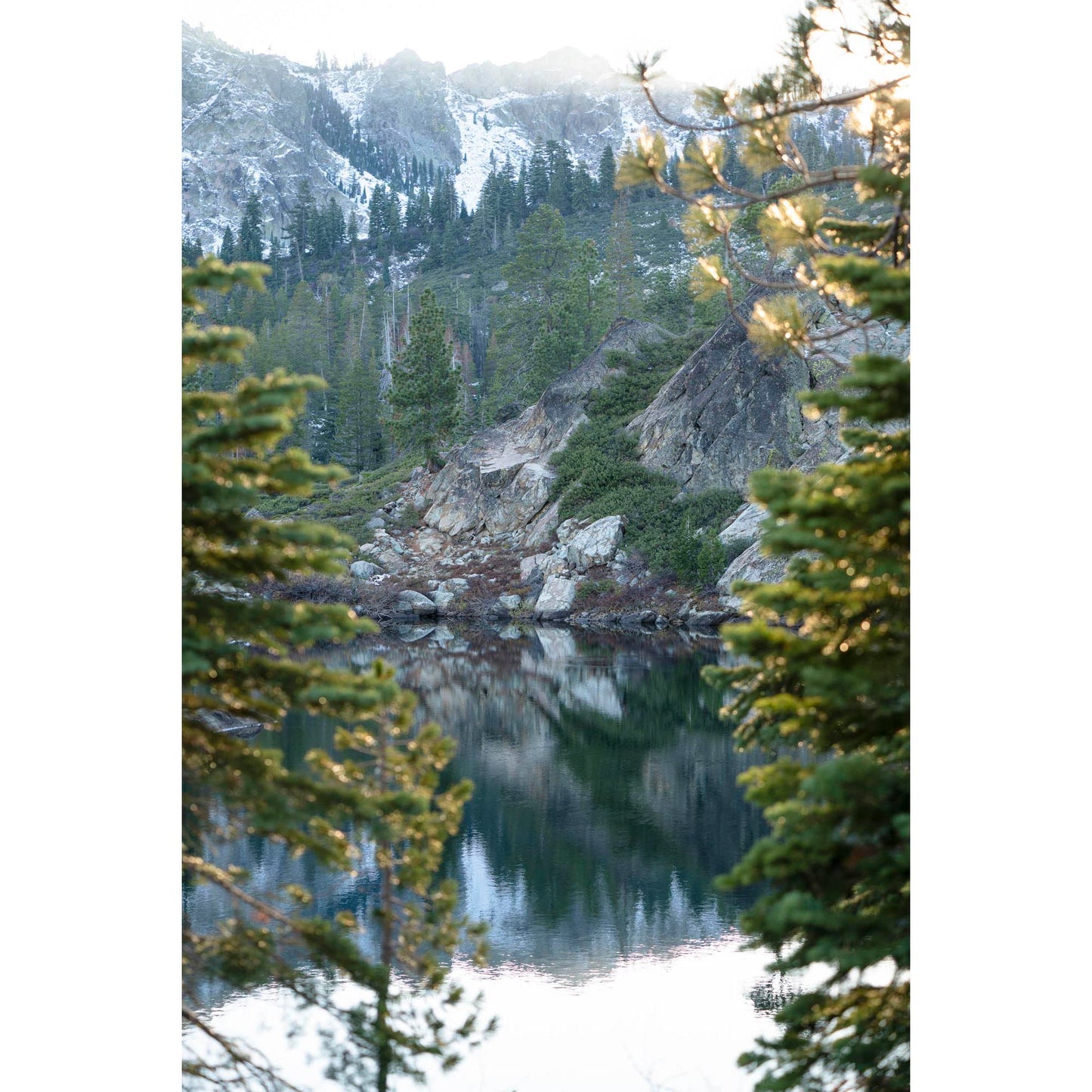 October 31, 2023 - Plumas National Forest, California