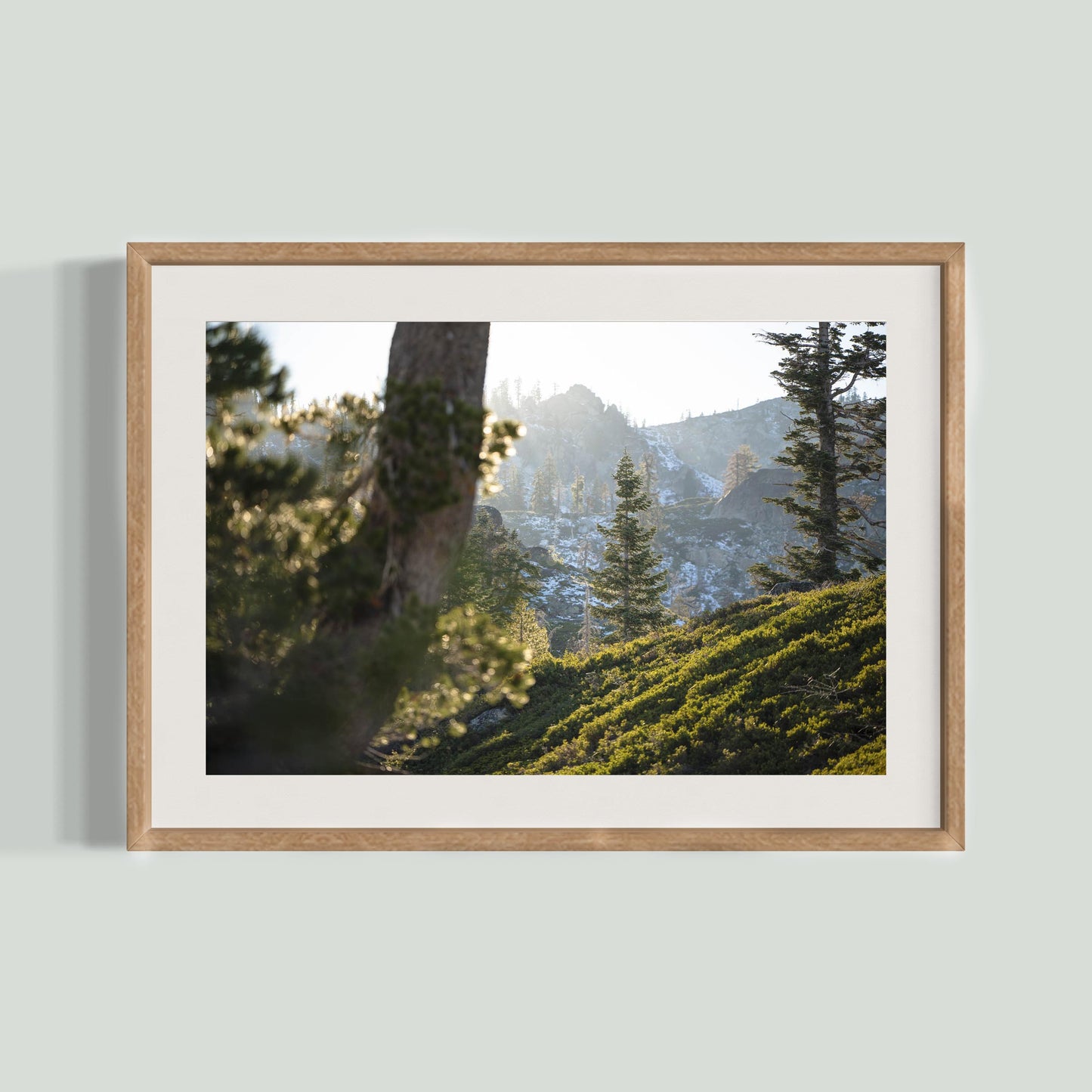 October 31, 2023 - Plumas National Forest, California