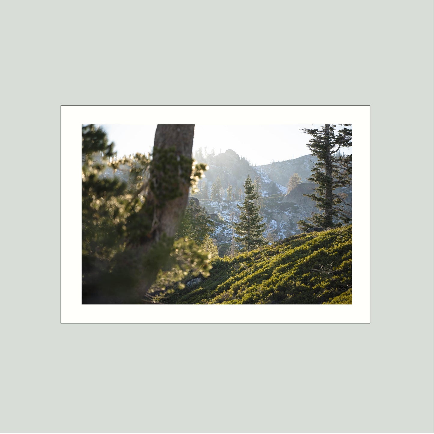 October 31, 2023 - Plumas National Forest, California