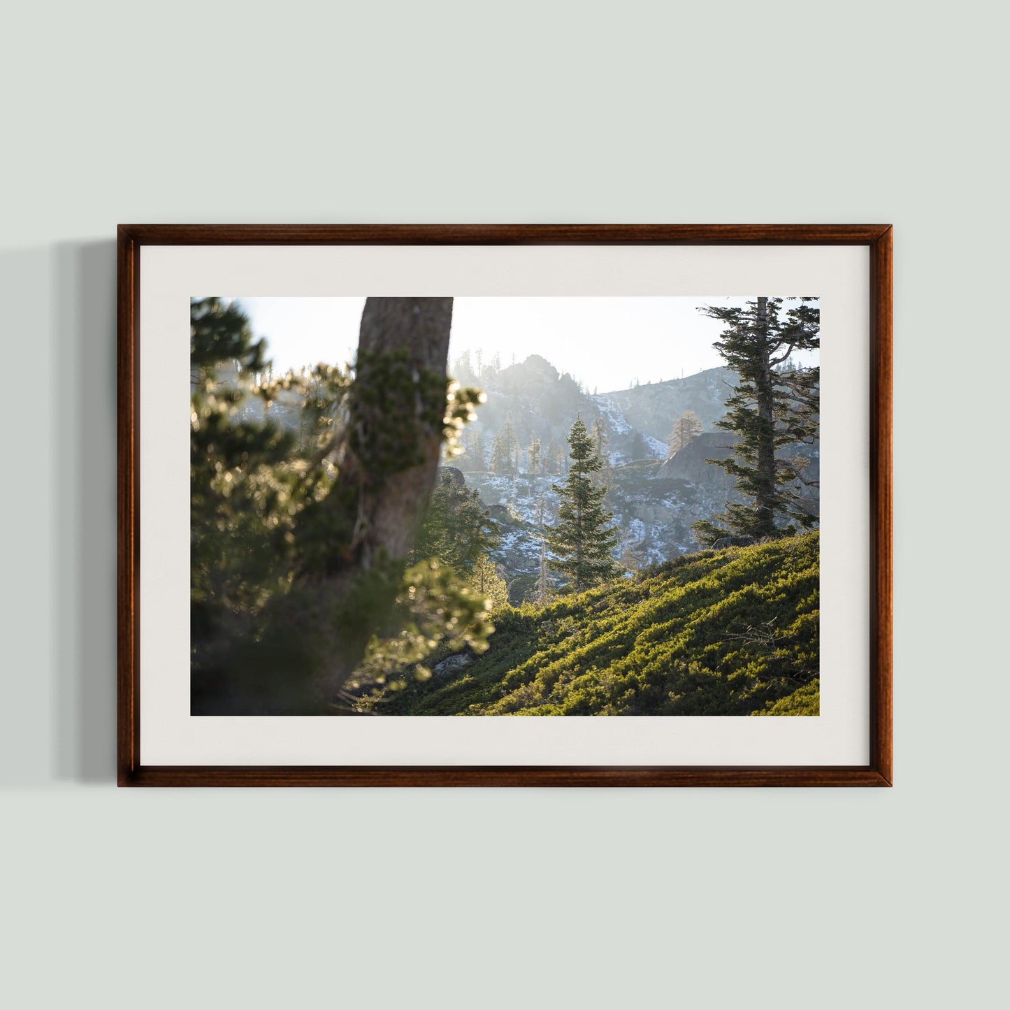 October 31, 2023 - Plumas National Forest, California