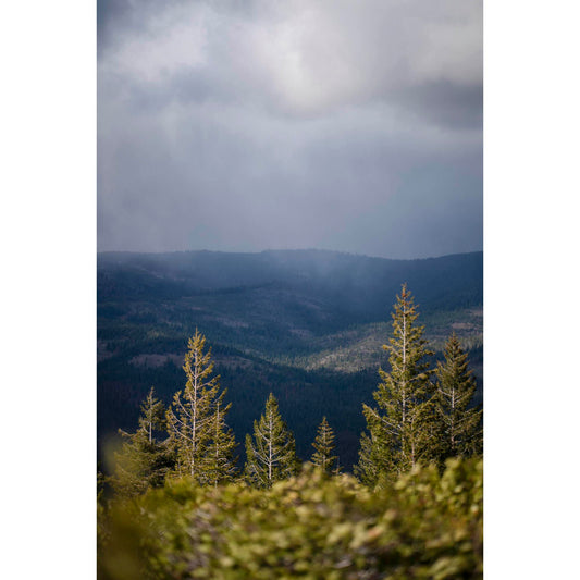 April 26 2026 - Plumas National Forest, California